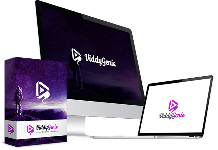 ViddyGenie Review