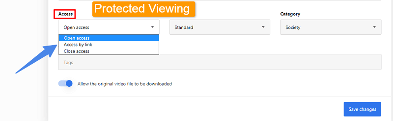 Viddle Thumbnail Customization